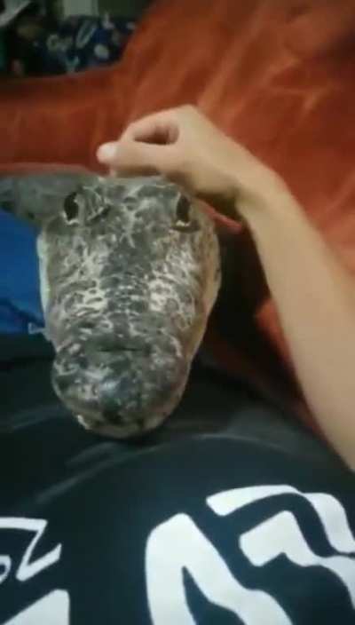 Freind :)