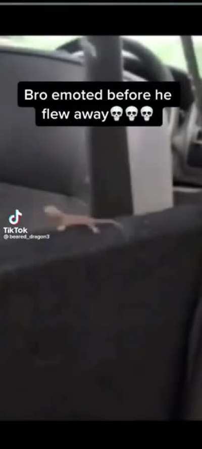 bro liked the music