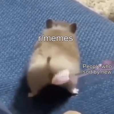 Their service will not go unappreciated