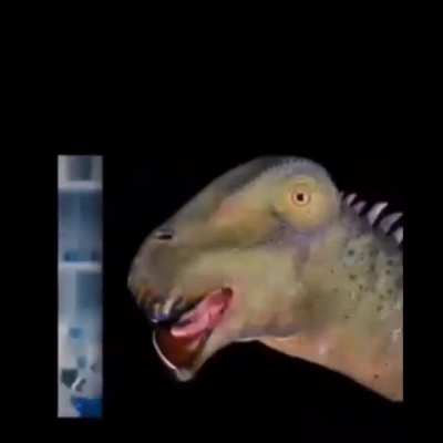 ☠️