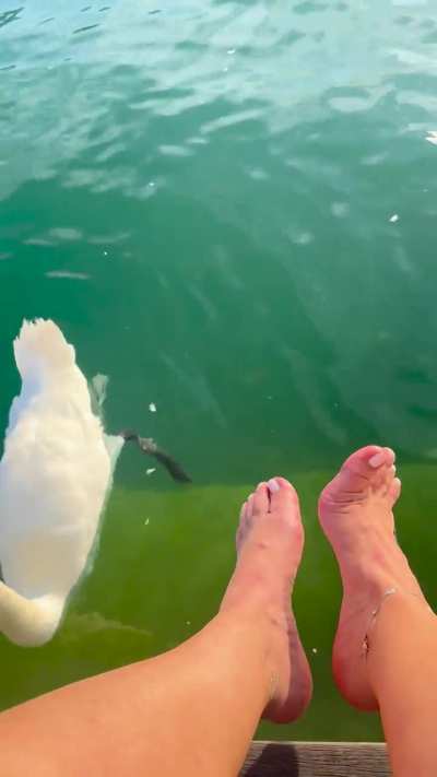 The beauty of nature&hellip; and feet! 