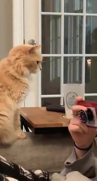 Everything was fine until....