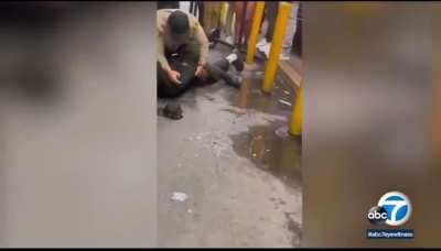 LAPD beat down