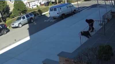 Mugger in Queens pushes elderly woman down church steps, taking her wallet and stealing her car.