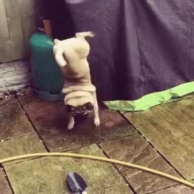 What&rsquo;s going on here?