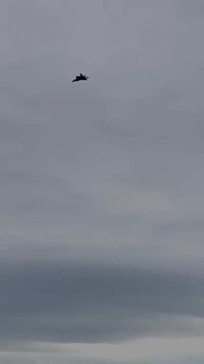 Not the best quality but it&rsquo;s always a good day when I can see my favorite fly! 