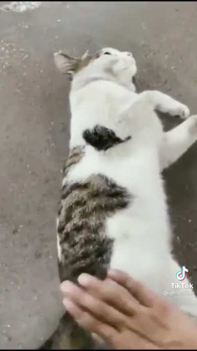 Pats please!