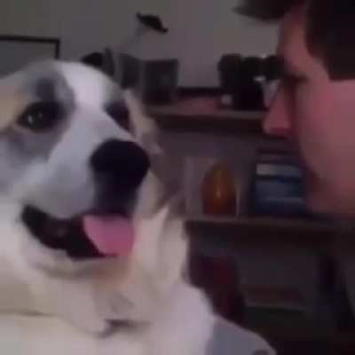 "sua m&atilde;e parece uma cachorra"