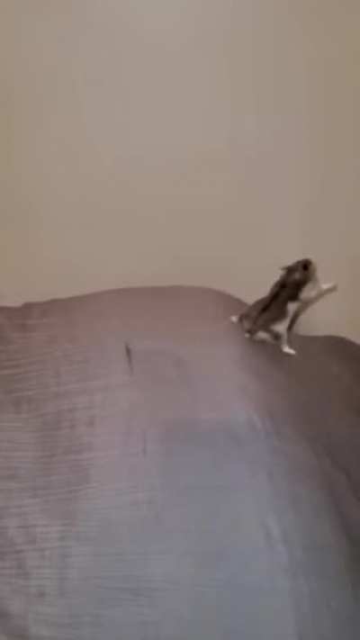 If you feel sad or depressed, you better watch this