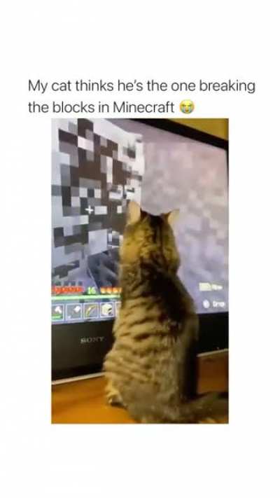 edgar cam when ?