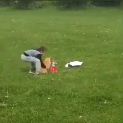Cat saved