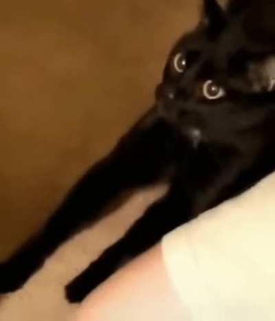 What the hell is that?!?