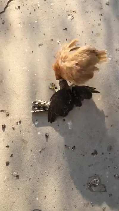 I thought this belongs here.