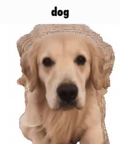 Dog rule :)