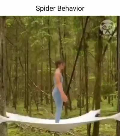 Rule