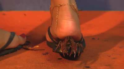Sonia Inshoe