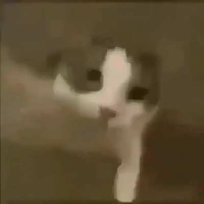 Mochi stans after day 1420 of simping and they still haven&rsquo;t fucked her or been acknowledged by her