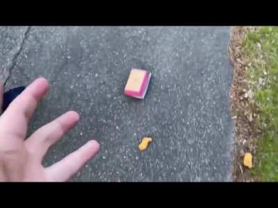 Not the nuggets