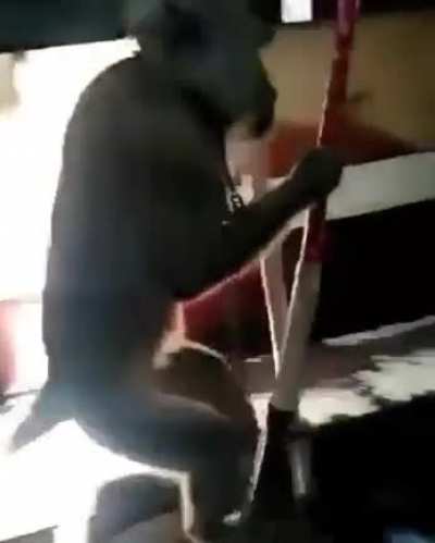 Monkey