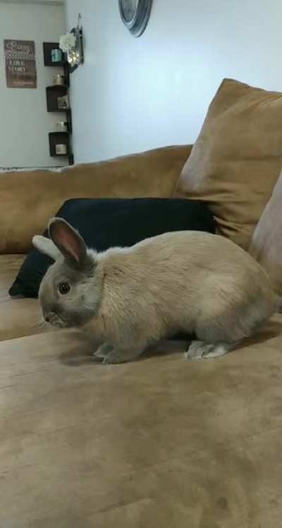 Smol boy smol binkies