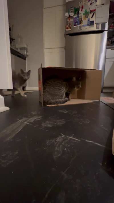 New box, who dis?