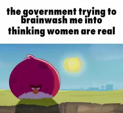 Government