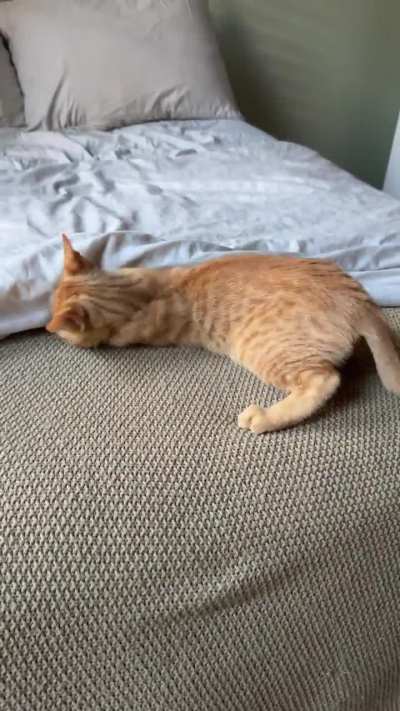 they&rsquo;re in the bed!
