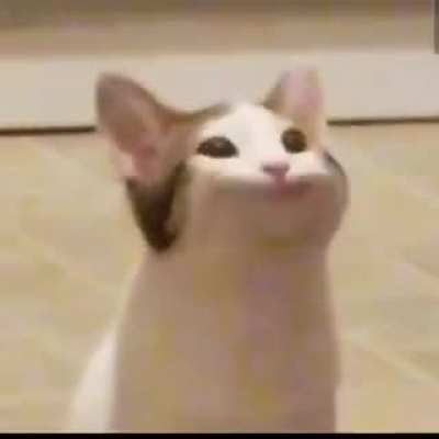 Good morning r/discordVideos