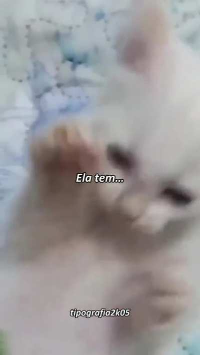 Falou besteira a&iacute; 
