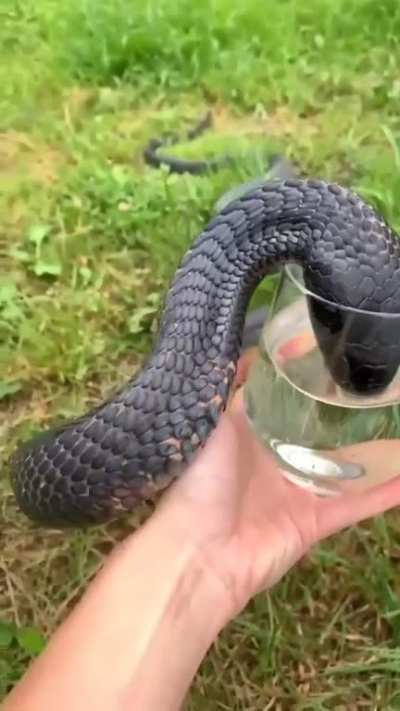 drinking water
