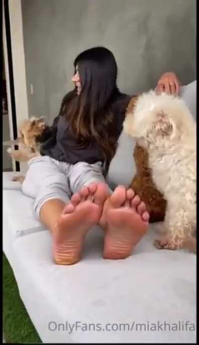 Mia khalifa feet 