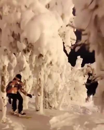 &Aacute;rvores cobertas de neve na Finl&acirc;ndia