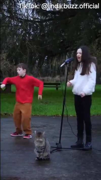 This trio has found their jam