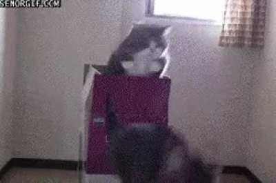‍ ‍ ‍ ‍