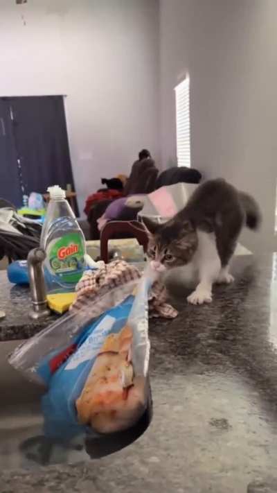 An attempt to steal a frozen chicken
