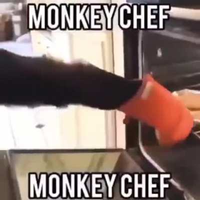 Monke chef (Source: Discord)