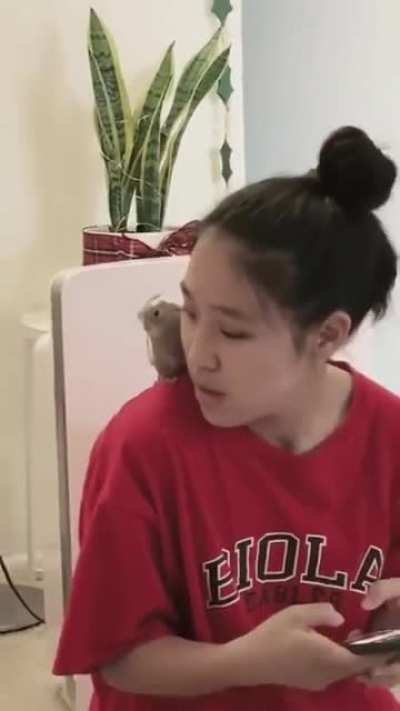 when you correcting your bird