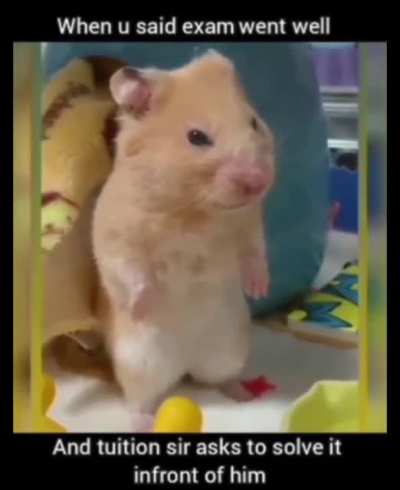 😹