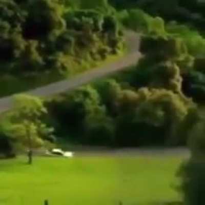 What a nice car