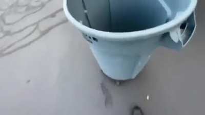 trash