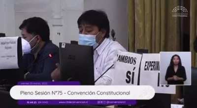 Cuanto era que ganaban estos parasitos por intentar escribir una constituci&oacute;n?