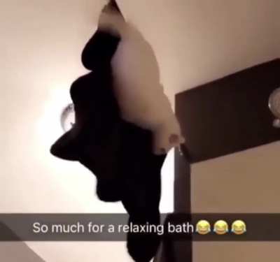 The cat was ok. Don&rsquo;t worry