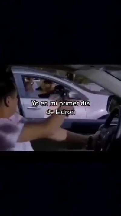 Xd