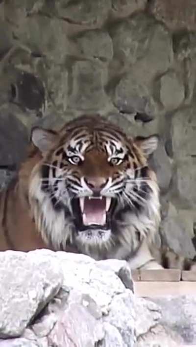 You looking at me? 