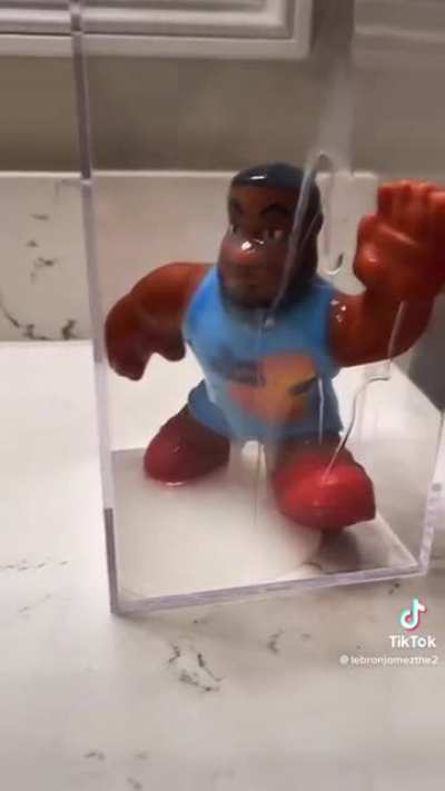 Lecum james