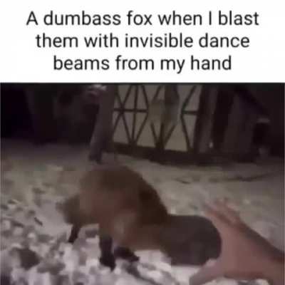 I have taught my familiar to groove! 