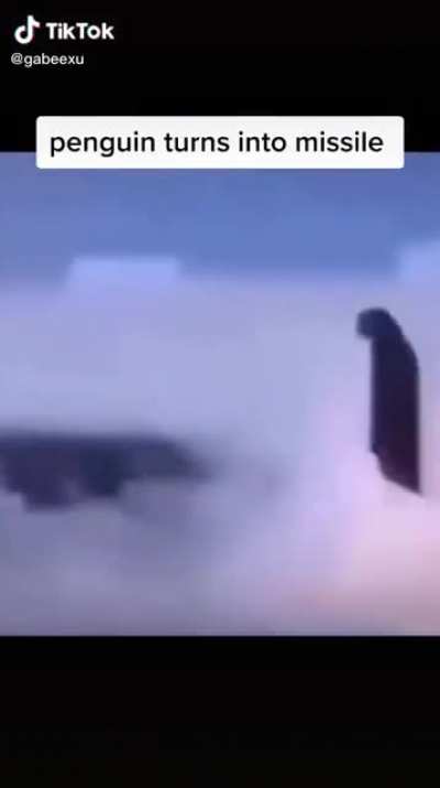 Penguin