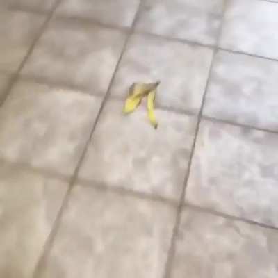 WAAAAA-