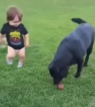 Monkey see, monkey do.. brave kid.. friendly dog