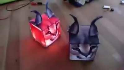 Floppa cube rule